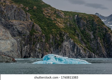 Glacier Floating Ice From Prince William Sound Area Cruise . Alaska AK American Road Trip Sightseeing Nature - Prince William Sound - Whittier - Seward Area - Salmon Fishing Towns And Cruise Launching