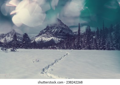 Glacier National Park, Montana. Winter.