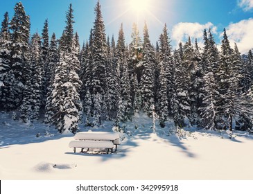 Glacier National Park, Montana. Winter.