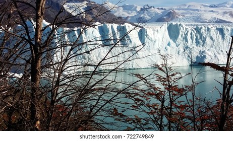 Glacier and trees