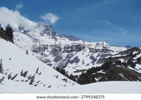 Glacier view from Mount Rainer