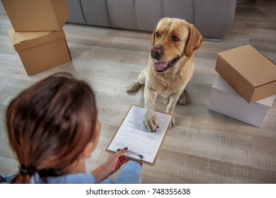 dog delivery box