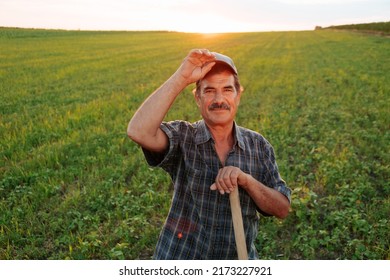 alegre granjero latinoamericano con gorra mirando la cámara alegremente y sonriendo al atardecer. Retrato del exitoso granjero con bigotes sonriendo a la cámara