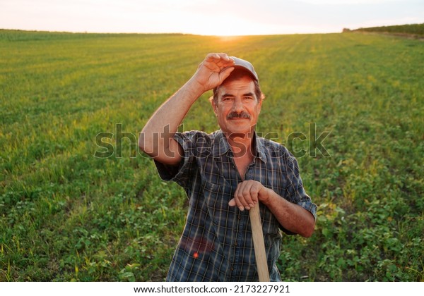 8,339 Old Farmer Working The Land Stock Photos, Images & Photography ...