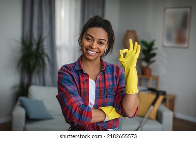 1,429 Black Lady House Cleaning Images, Stock Photos & Vectors ...