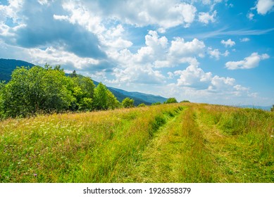 the glade is covered with grass and flowers on top of the mountains with blue sky and clouds.