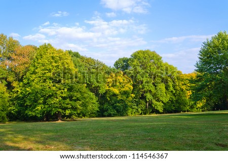 Glade green wood the blue sky with clouds autumn Dendro park Uman