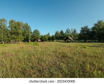 Opaleń Glade In The Kampinos Forest