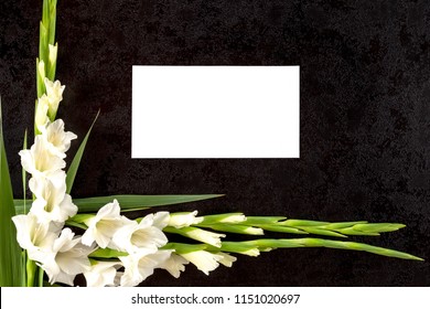 Gladioly Flowers With Blank Paper For Obituary Notice. RIP.