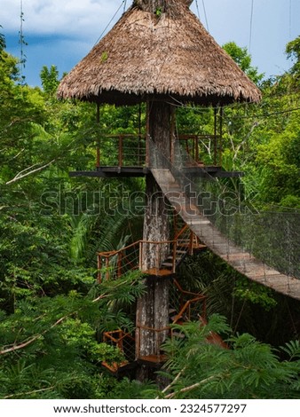 Glamping accommodation in the Amazon rainforest. Wooden treehouse, Amazon Rainforest, Amazonia, Pacaya Samiria National Reserve, Peru, South America.