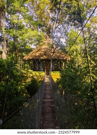 Glamping accommodation in the Amazon rainforest. Wooden treehouse , Amazon Rainforest, Amazonia, Pacaya Samiria National Reserve, Peru, South America.