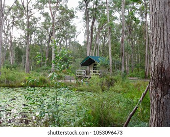 Glamping At Darlington Beach Resort Australia