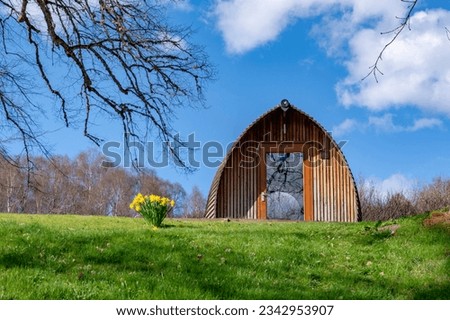 Glamping pod on a green meadow with blooming daffodils at Scottish highlands