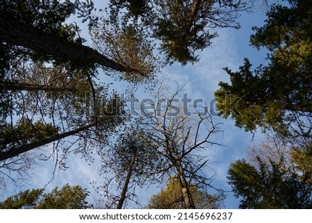 Similar – Image, Stock Photo Wind power at Roßkopf 8