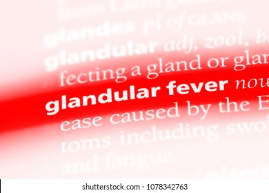 5 letter word for glandular organ