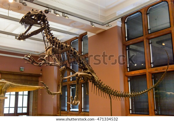 kelvingrove dinosaur