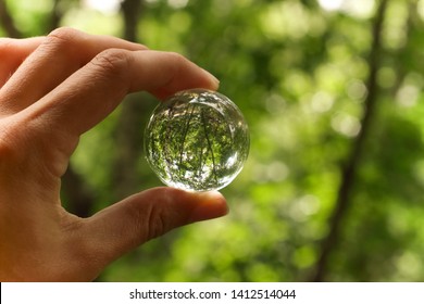 Environment Day Earth Day Woman Hand Stock Photo (Edit Now) 1055078477