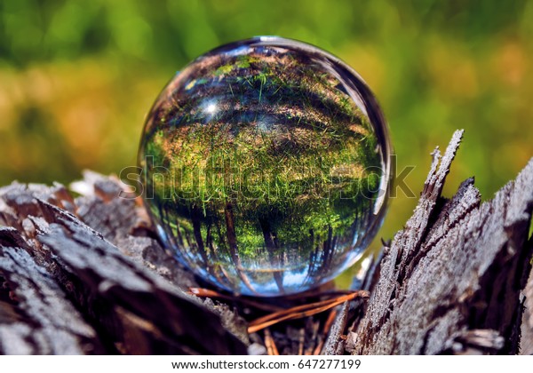 Glass Ball Nature Stock Photo (Edit Now) 647277199