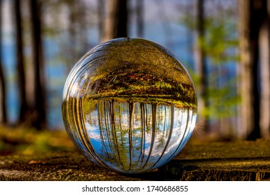 Glass Ball In Spring Sunny Beech Forest