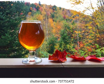 Glass Of Beer With Fall Leaves On Fall Outdoor Background.