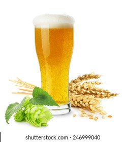 Glass Of Beer With Wheat And Hops Isolated On The White Background