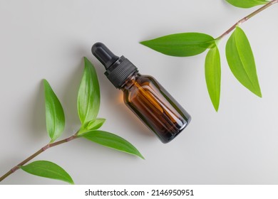 A glass bottle with beauty oil or serum with little twig on gray background. Natural Organic Spa Cosmetic concept. Top view.