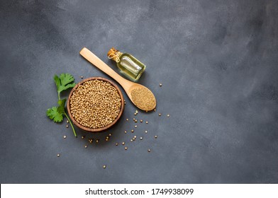 Glass bottle of coriander essential oil with coriander powder and fresh cilantro leaves on rustic table, aromatherapy massage oil concept ( coriandrum sativum )