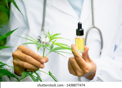 Glass bottle handle, CBD hemp oil. Doctors or researchers hold a bottle of hemp oil. Background with medical stethoscope.medical marijuana concept, CBD cannabis OIL. hemp product, close up