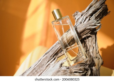 Glass Bottle Of Perfume On A Driftwood, Natural Shade Background, Perfume With Woody Notes