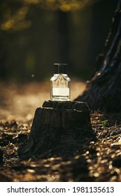 Glass Bottle Of Perfume On A Tree In The Forest In The Sunset Light. Advertising Photo. Mockup