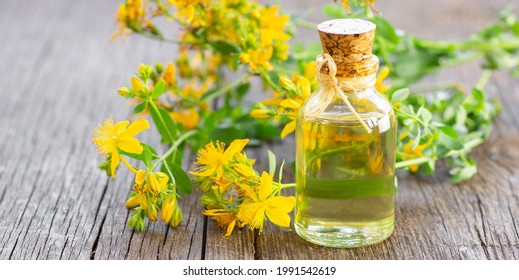 Glass bottle of st. John’s wort essential oil with flowers, alternative medicine