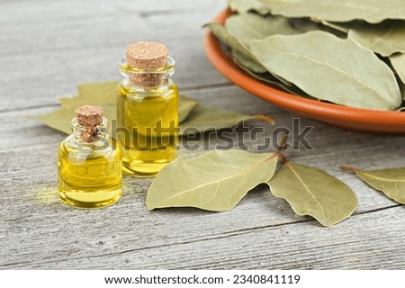 Glass bottles of essential bay laurel oil with laurel leaves on wooden rustic background. Healthy spa therapy.