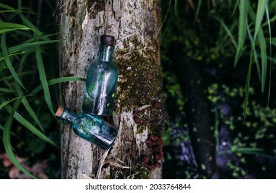 Glass bottles are filled with magic ingredients, elixir. Mysterious lake. - Shutterstock ID 2033764844