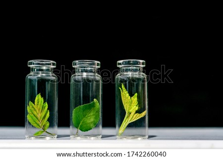 Glass bottles, test tubes with plant sprouts on black background. Natural skin care, organic cosmetics and food. Concept of alternative medicine