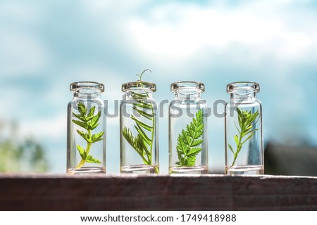 Glass bottles, test tubes with plant sprouts on background blue sky. Natural skin care, organic cosmetics and food. Concept of alternative medicine