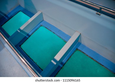 Glass Bottom Boat