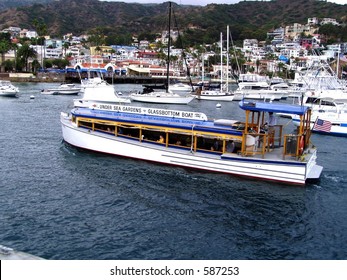 Glass Bottom Boat