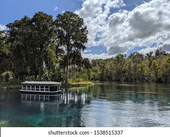 Glass Bottom Boat In Silver Springs