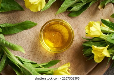 A glass bowl of evening primrose oil with fresh blooming plant, top view - Shutterstock ID 2167502395
