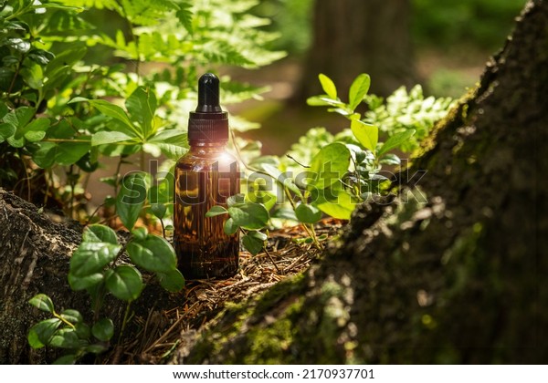 Glass brown cosmetic containers with pipette are\
located on natural forest background. Natural organic cosmetics\
concept. Selective focus.
