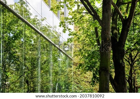 Glass building facade in nature reflecting green leaves of tree