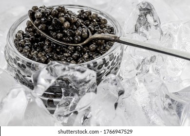 Glass can with natural black caviar with silver spoon in ice cubes. Luxury concept.