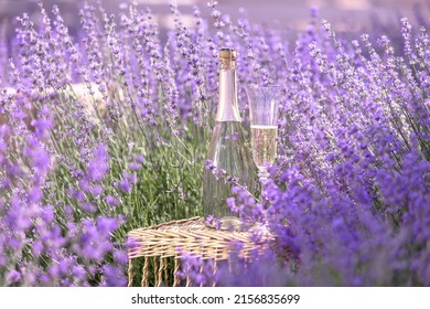 Glass Of Champagne In A Lavender Field. Violet Flowers On The Background.