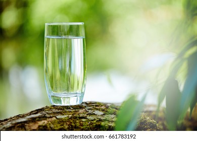 A Glass Of Clean Water, On The Nature. Concept Of A Healthy Lifestyle