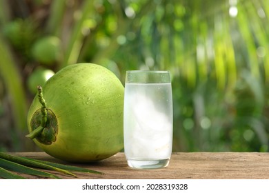 Glass of coconut juice with blurred coconut tree background.