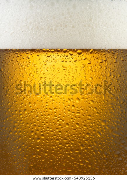 GLASS OF COLD BEER WITH FROTHY HEAD AND CONDENSATION\
DROPLETS CLOSE UP