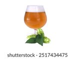 Glass of craft beer paired with fresh hops isolated on white background. Perfect for illustrating home brewing or craft beer production