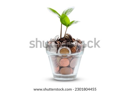 	
A glass cup with coins and a plant growing out of it White background