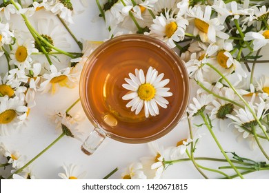 Glass cup with herbal tea with chamomile flowers on a white background. Healthy drink. top view