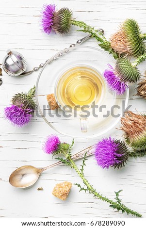 Similar – Image, Stock Photo prickly Thorny Thistle